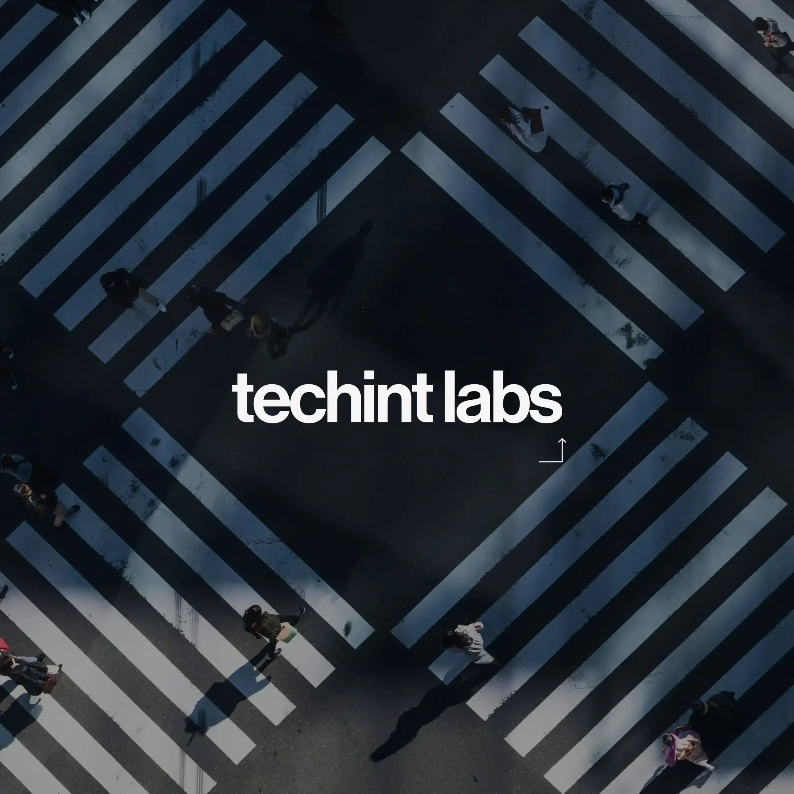 Techint Labs